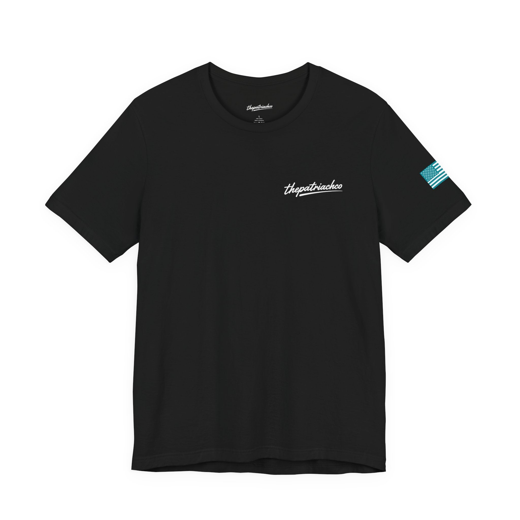 Teal F-100 dock T-shirts
