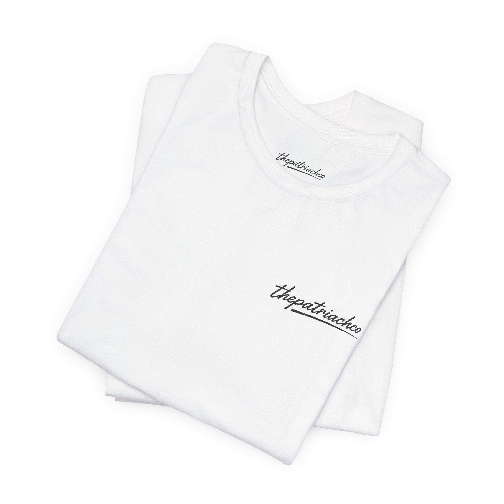 Teal F-100 dock T-shirts